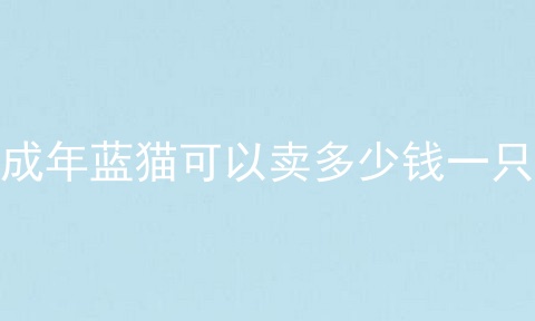 成年蓝猫可以卖多少钱一只