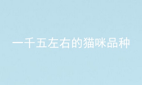 一千五左右的猫咪品种