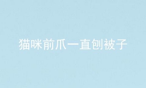 猫咪前爪一直刨被子