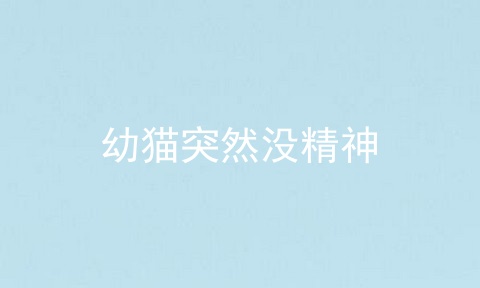 幼猫突然没精神