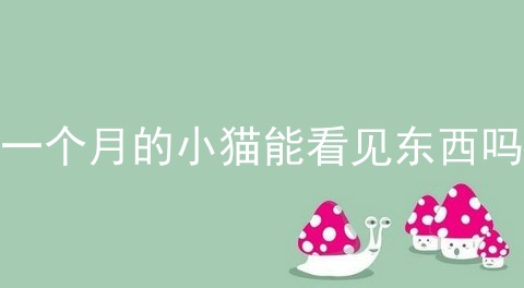 一个月的小猫能看见东西吗