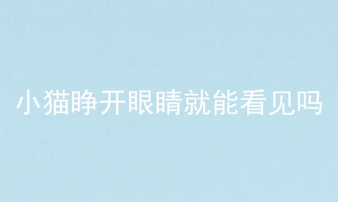 小猫睁开眼睛就能看见吗