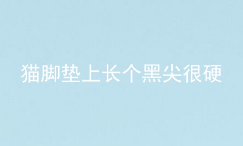 猫脚垫上长个黑尖很硬