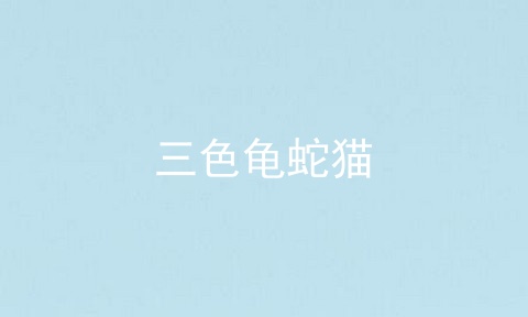 三色龟蛇猫
