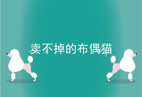 卖不掉的布偶猫
