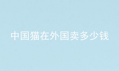 中国猫在外国卖多少钱