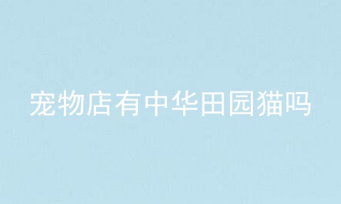 宠物店有中华田园猫吗