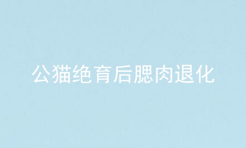 公猫绝育后腮肉退化