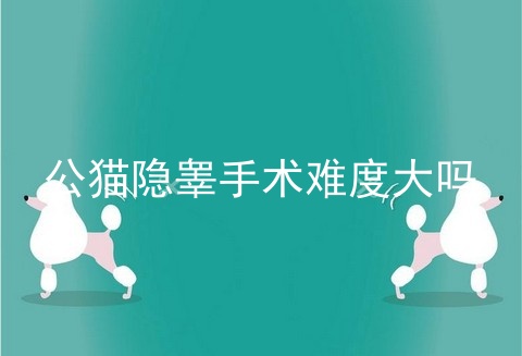 公猫隐睾手术难度大吗