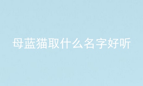 母蓝猫取什么名字好听