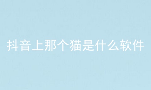 抖音上那个猫是什么软件