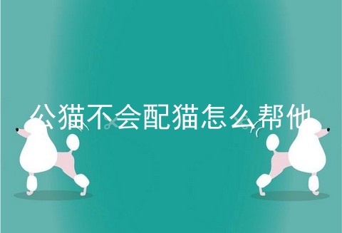 公猫不会配猫怎么帮他