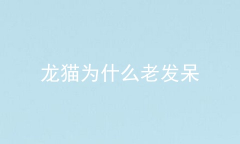 龙猫为什么老发呆