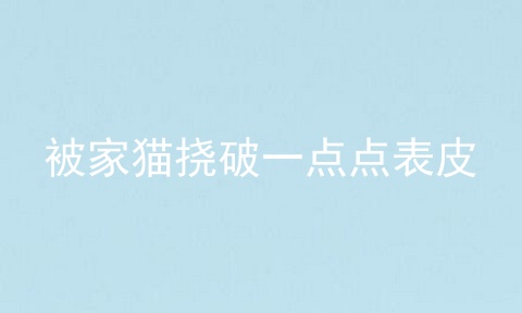 被家猫挠破一点点表皮