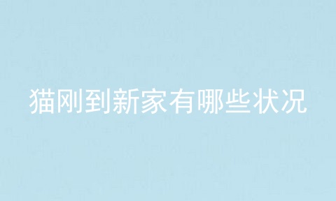 猫刚到新家有哪些状况