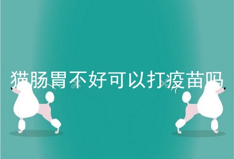 猫肠胃不好可以打疫苗吗