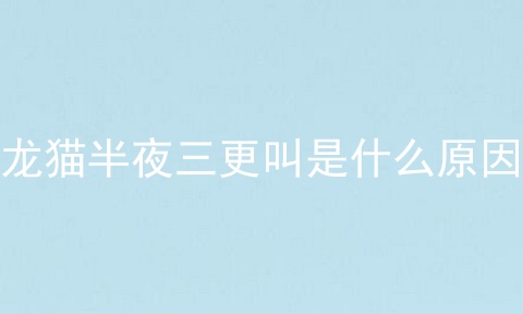 龙猫半夜三更叫是什么原因