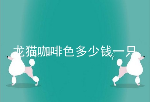 龙猫咖啡色多少钱一只