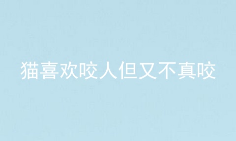 猫喜欢咬人但又不真咬
