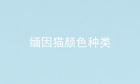 缅因猫颜色种类