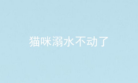 猫咪溺水不动了
