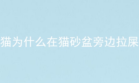 猫为什么在猫砂盆旁边拉屎