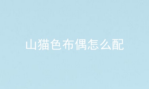 山猫色布偶怎么配