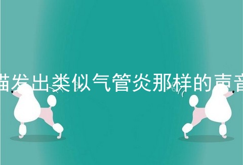 猫发出类似气管炎那样的声音