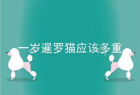 一岁暹罗猫应该多重