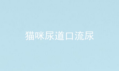 猫咪尿道口流尿