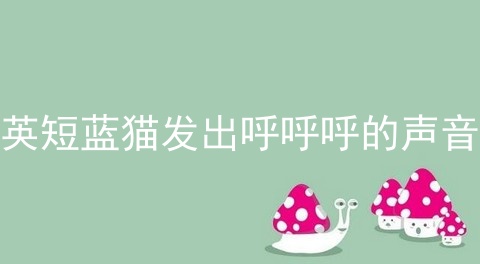 <a href=/cat/13.html target=_blank class=infotextkey>英短</a>蓝猫发出呼呼呼的声音