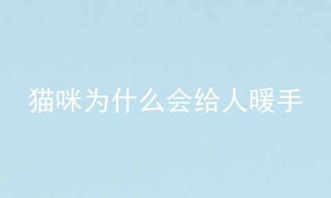 猫咪为什么会给人暖手