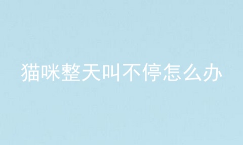 猫咪整天叫不停怎么办