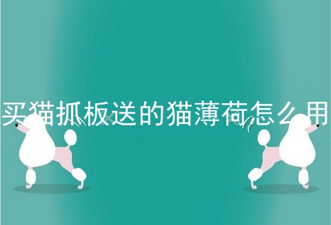 买猫抓板送的猫薄荷怎么用