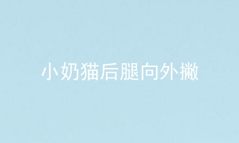 小奶猫后腿向外撇