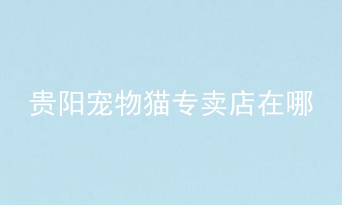 贵阳宠物猫专卖店在哪
