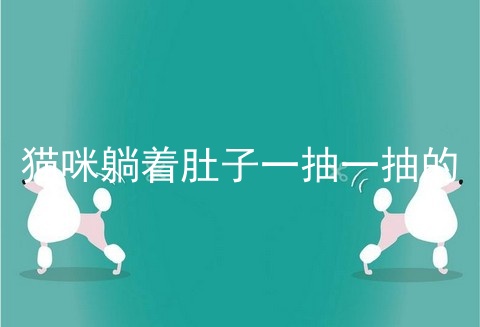 猫咪躺着肚子一抽一抽的