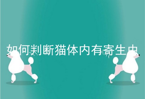 如何判断猫体内有寄生虫