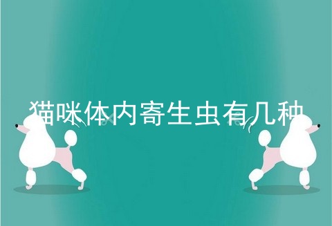 猫咪体内寄生虫有几种