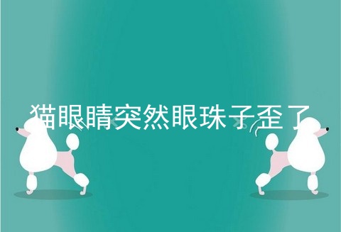 猫眼睛突然眼珠子歪了