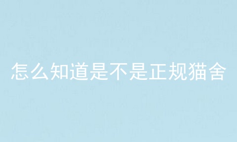 怎么知道是不是正规猫舍