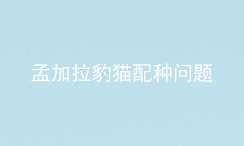 孟加拉豹猫配种问题