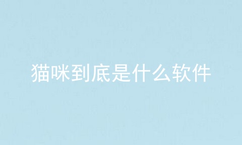 猫咪到底是什么软件