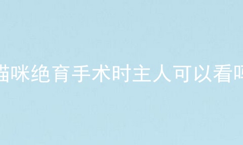猫咪绝育手术时主人可以看吗