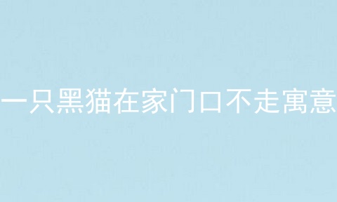 一只黑猫在家门口不走寓意