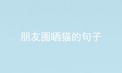 朋友圈晒猫的句子