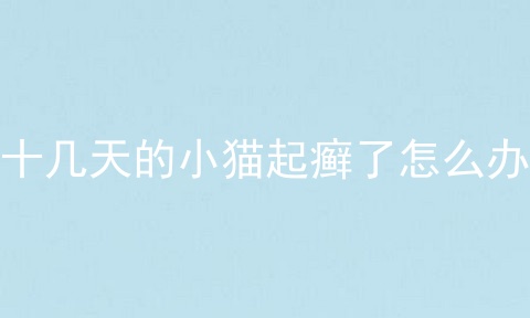 十几天的小猫起癣了怎么办
