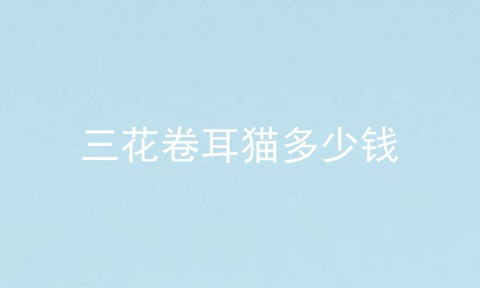 三花卷耳猫多少钱