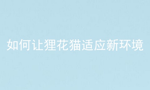 如何让狸花猫适应新环境