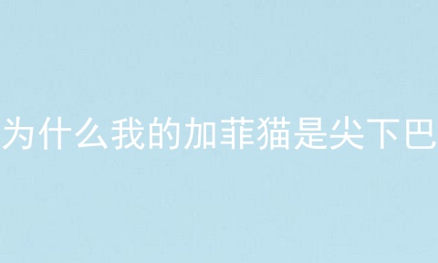 为什么我的加菲猫是尖下巴